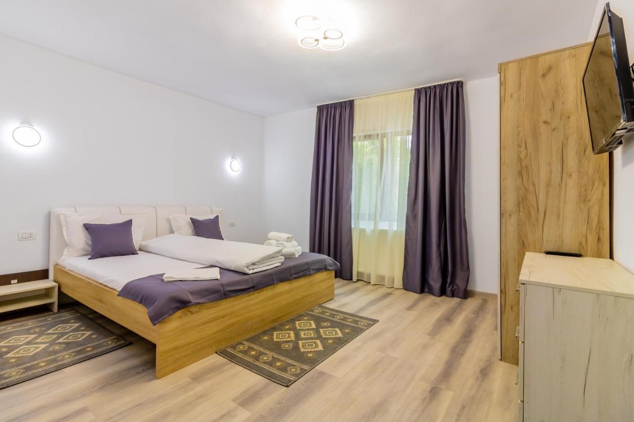 Pensiunea D & Ylan Hotel Novaci-Străini Buitenkant foto