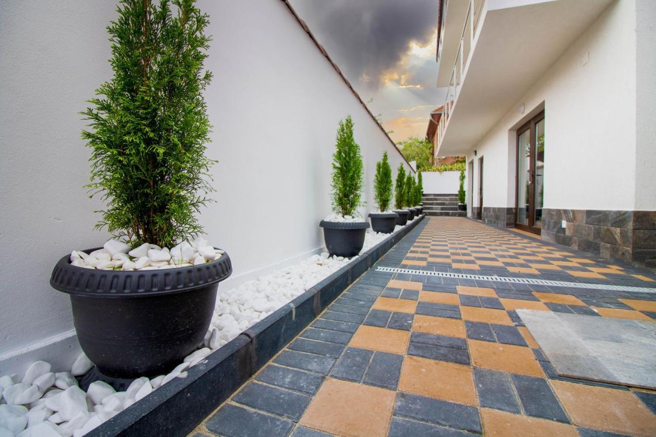 Pensiunea D & Ylan Hotel Novaci-Străini Buitenkant foto