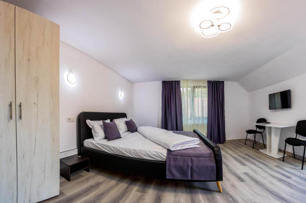 Pensiunea D & Ylan Hotel Novaci-Străini Buitenkant foto